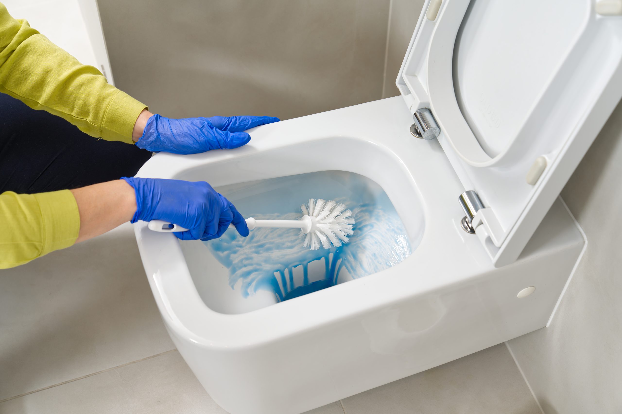 Wall Mounted Toilet Cleaning. Hotel Maid Cleans Toilet With A Scrub Brush. Woman Household Service